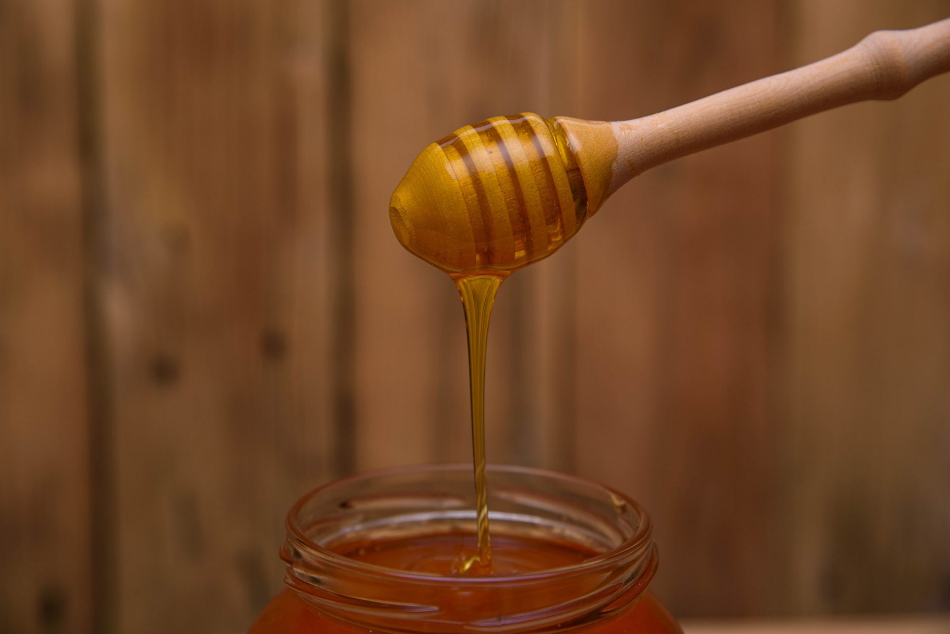 Closeup of a honey dipper