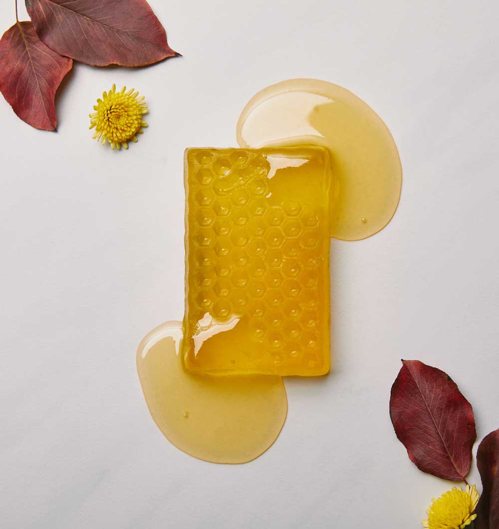 soap CECGQ44.jpeg